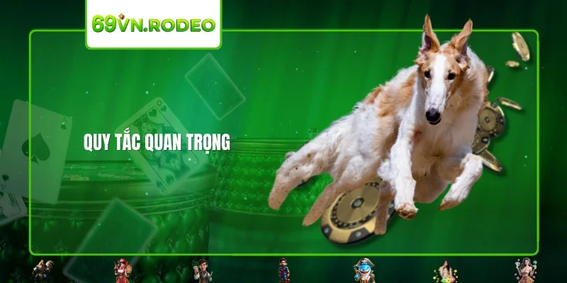 Quy tắc quan trọng Quy tắc quan trọng