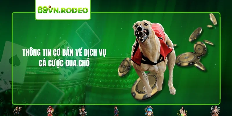 Thông tin cơ bản về dịch vụ cá cược đua chó Thông tin cơ bản về dịch vụ cá cược đua chó