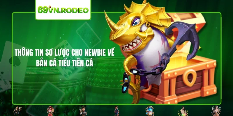 Thông tin sơ lược cho newbie về bắn cá tiểu tiên cá